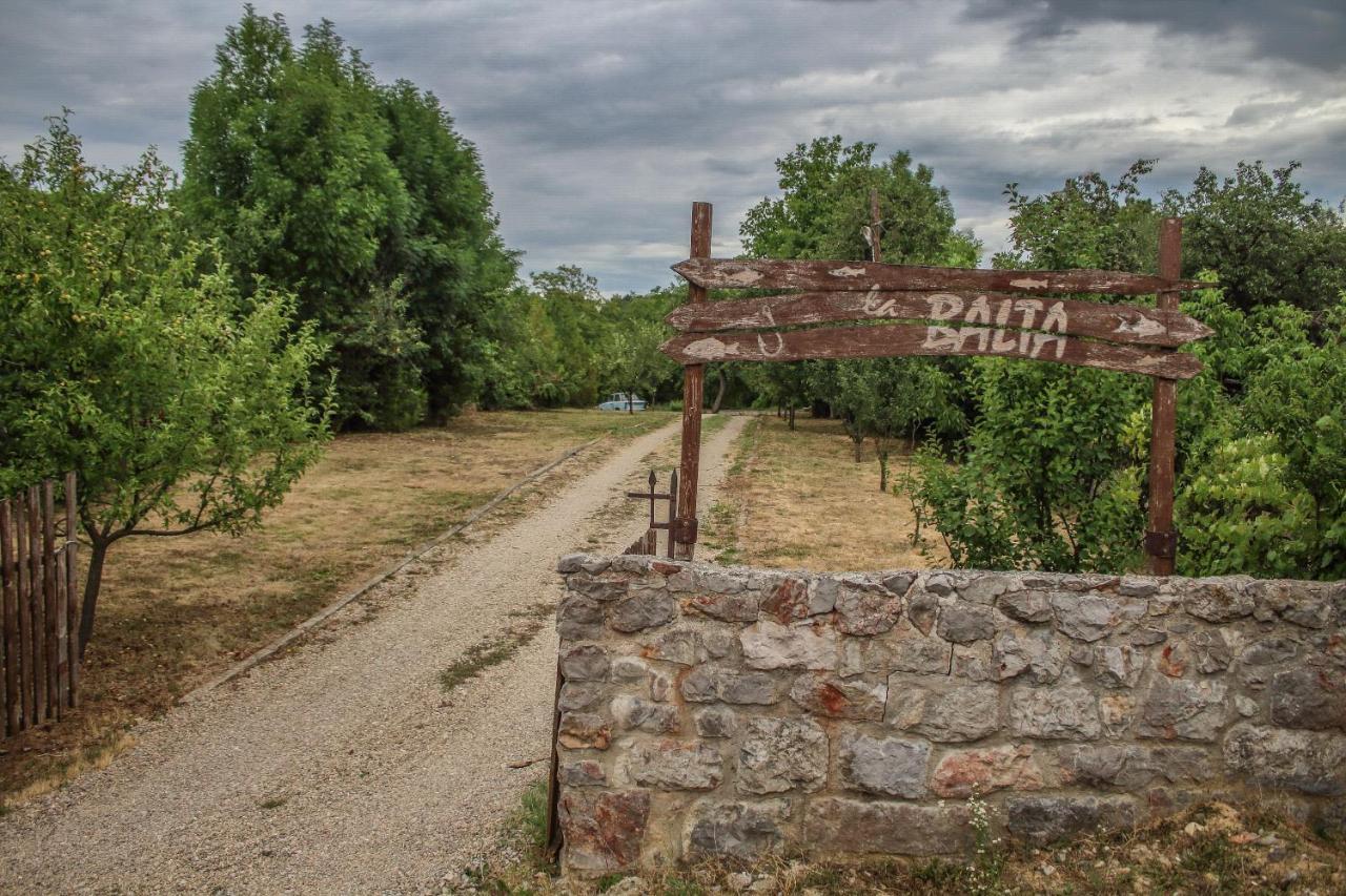 Hotel La Balta Vadu Crisului Zewnętrze zdjęcie