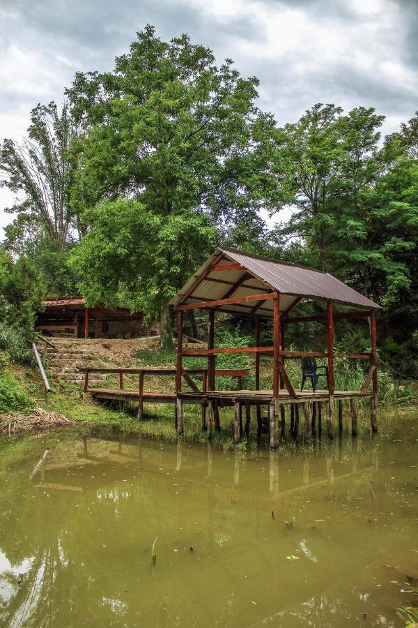 Hotel La Balta Vadu Crisului Zewnętrze zdjęcie